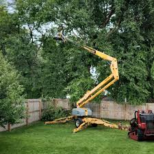 Best Tree Mulching  in Hearne, TX