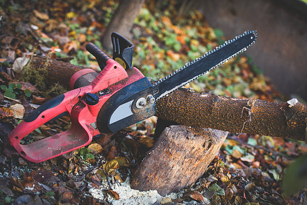 Best Lawn Maintenance Plans  in Hearne, TX